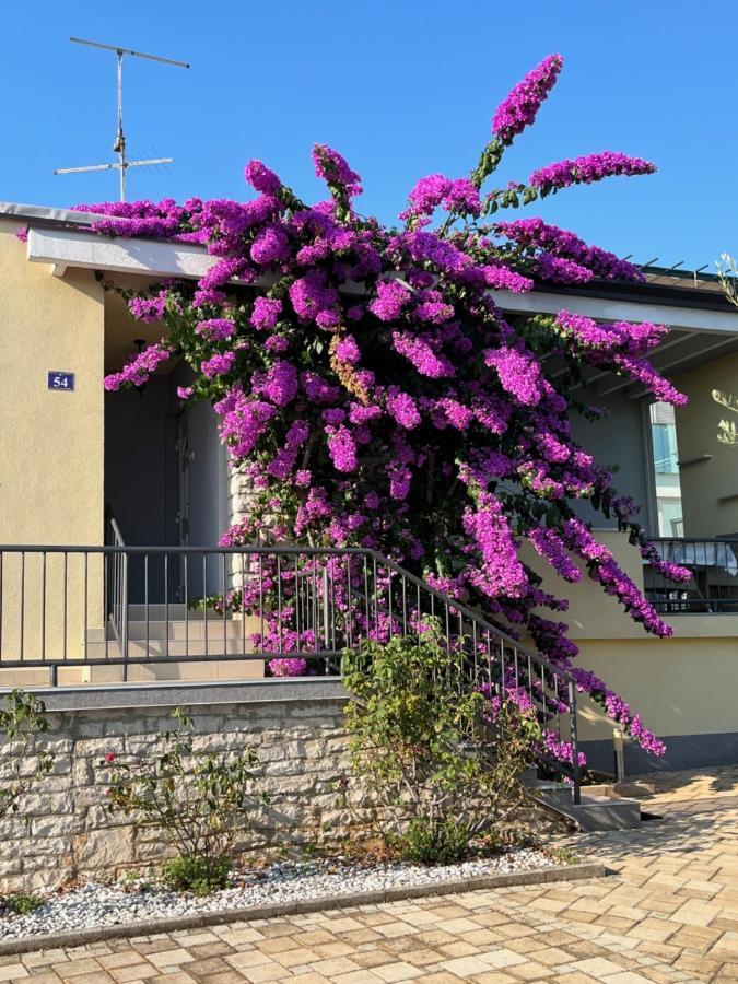App Forza Appartement Umag